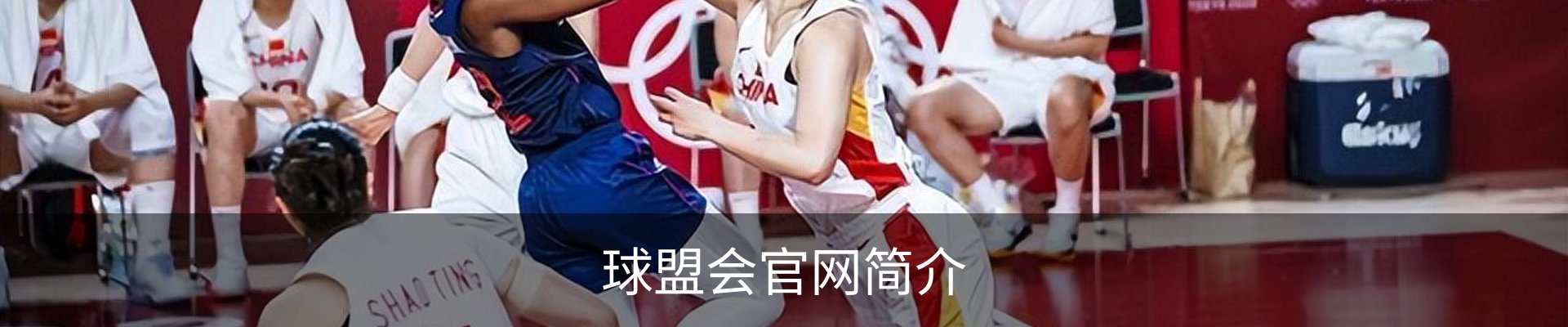 球盟会官网简介